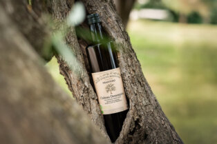 Aceite de oliva biológico ASCOLANA